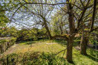 Bild (052638ea47f8ed75cebcbdb51f263ac8): Interessantes Baugrundst�ck in der City von Weinheim