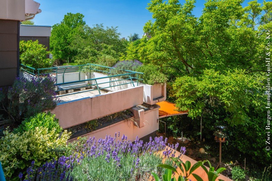 Blick Terrasse Wohnung Weinheim