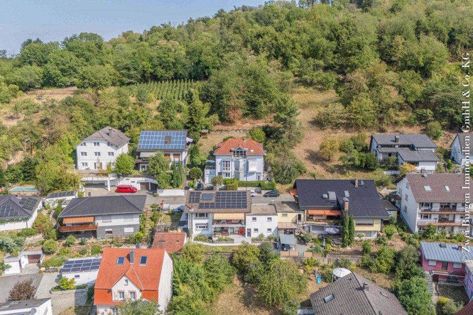 oberste Hanglag Mehrfamilienhaus Hemsbach
