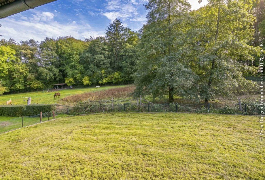 Blick aus dem Fenster Einfamilienhaus Abtsteinach