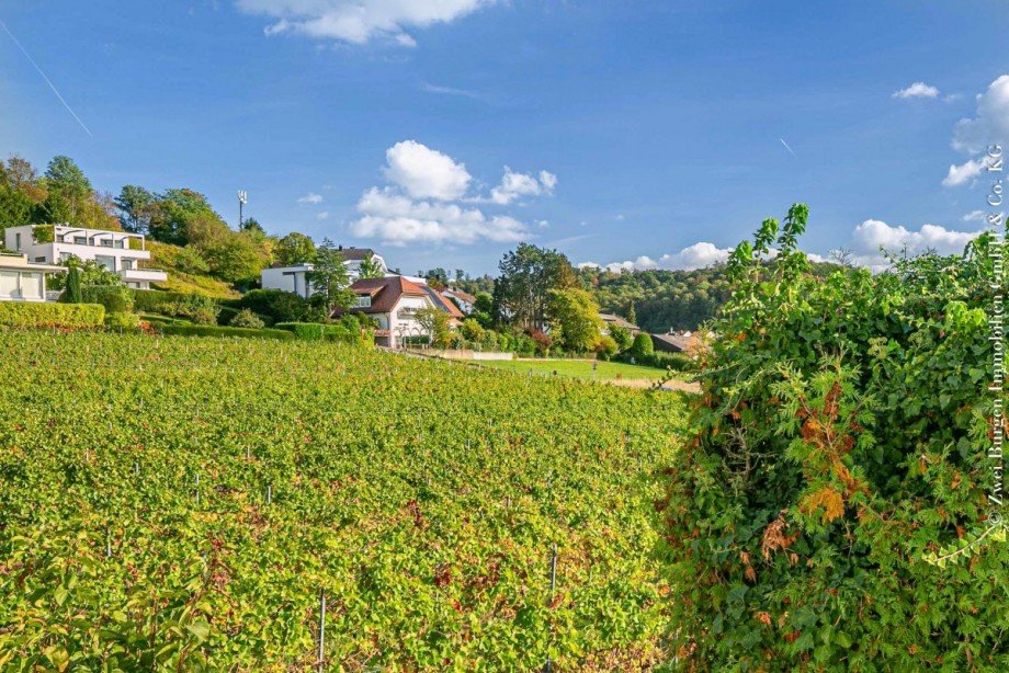 Ausblick Einfamilienhaus Weinheim