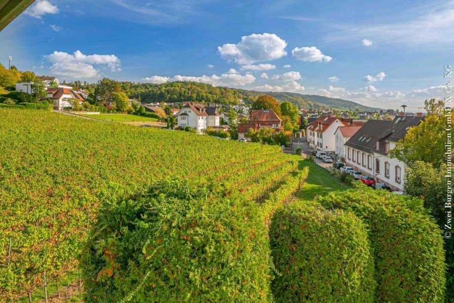 Ausblick nach S�den Einfamilienhaus Weinheim