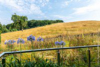 Bild (bb66563bcbacdb48e1f3e089760693df): Freistehendes Einfamilienhaus in Wiesenrandlage von M�rlenbach +VERKAUFT+