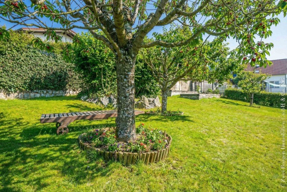 Kirschb�ume Einfamilienhaus Weinheim