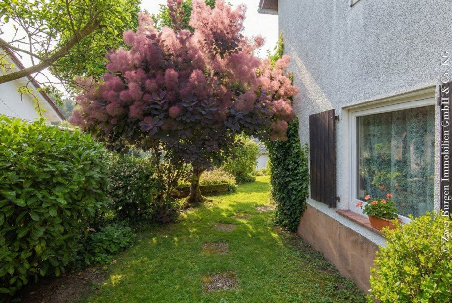 Garten ELW Einfamilienhaus Weinheim