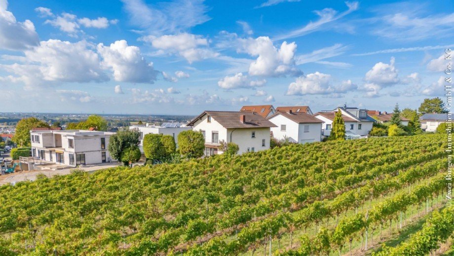 direkt am Bebauungsrand Einfamilienhaus Weinheim
