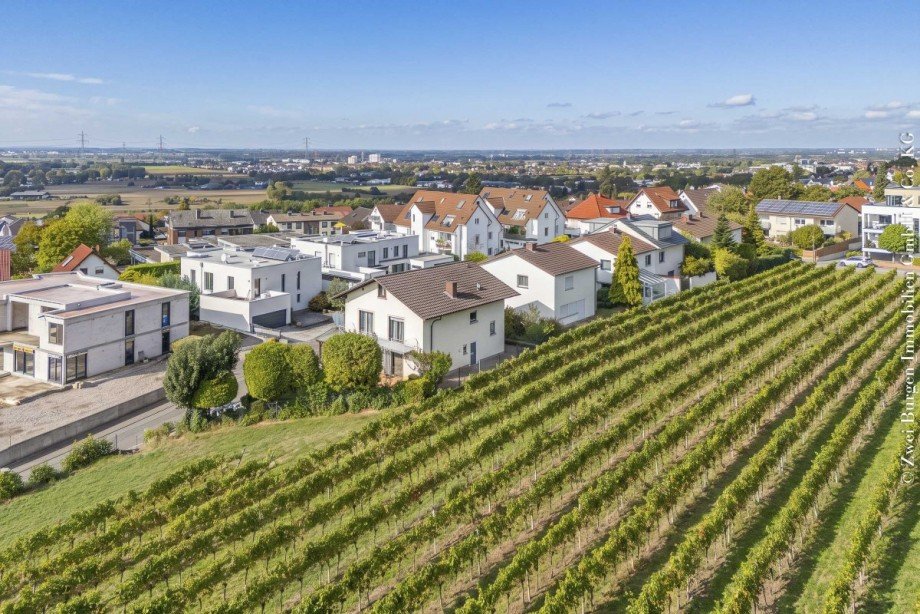 an den Weinbergen Einfamilienhaus Weinheim
